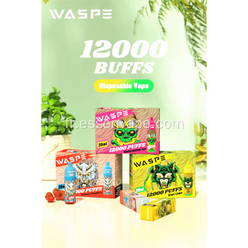 Meilleur prix Vape Waspe 12000puffs France Disposable Vape